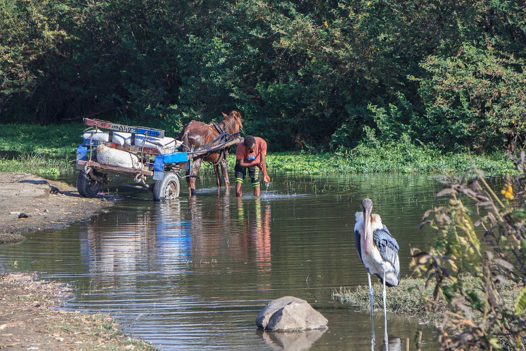 07-Ziway Lake.jpg - Ziway Lake